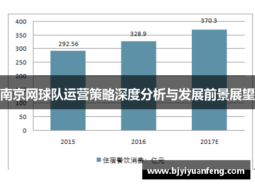 南京网球队运营策略深度分析与发展前景展望