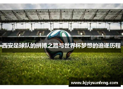 西安足球队的拼搏之路与世界杯梦想的追逐历程