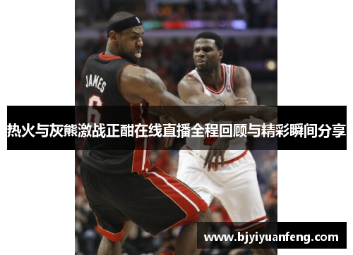 热火与灰熊激战正酣在线直播全程回顾与精彩瞬间分享